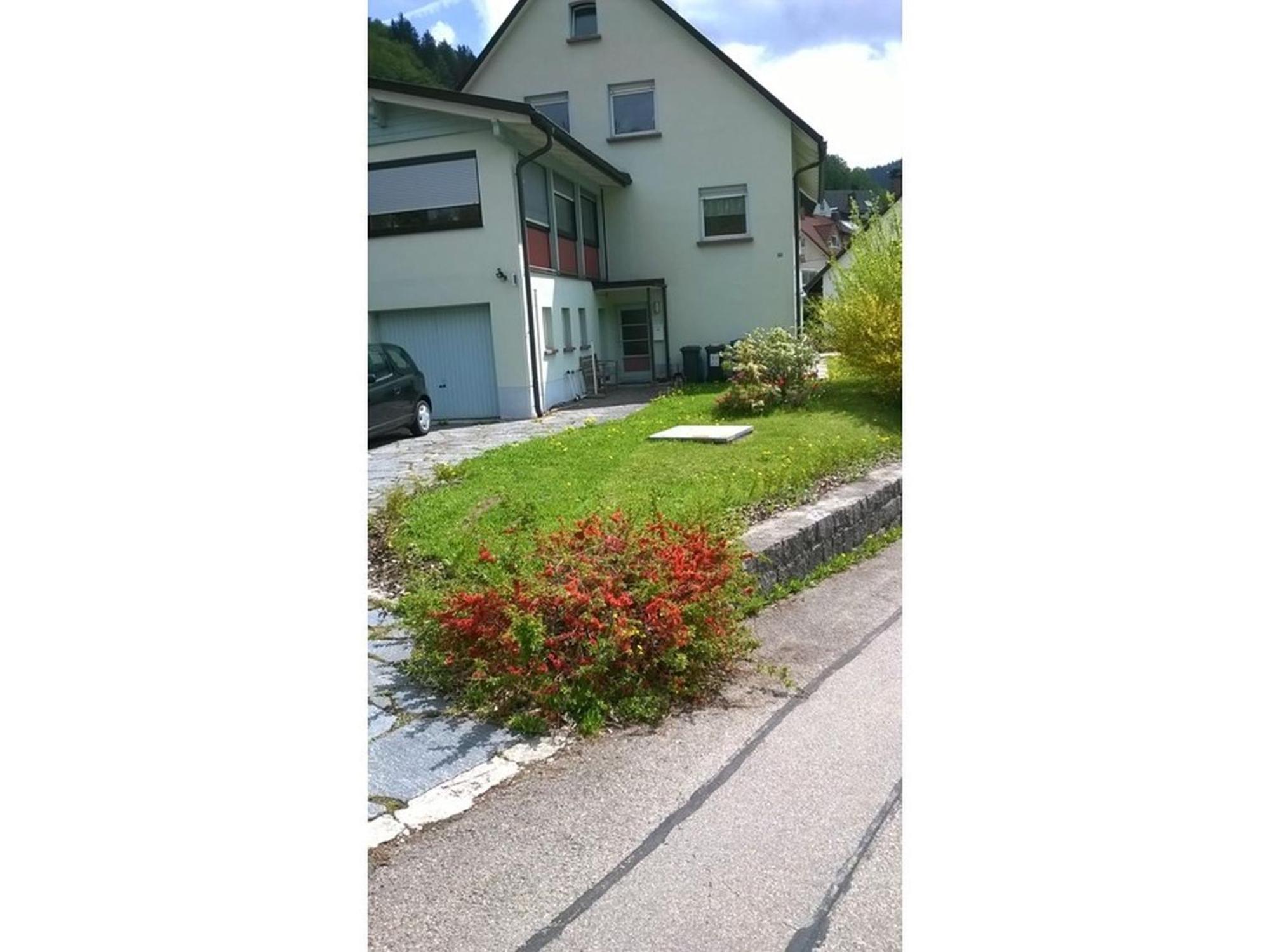 Haus Marion Apartment Todtnau Luaran gambar