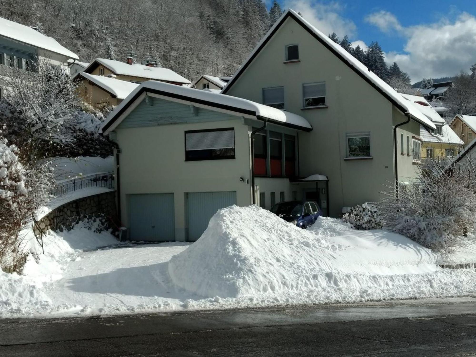 Haus Marion Apartment Todtnau Luaran gambar